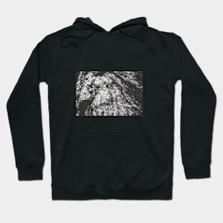 Black and white rock Hoodie